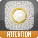 nest_attention.png